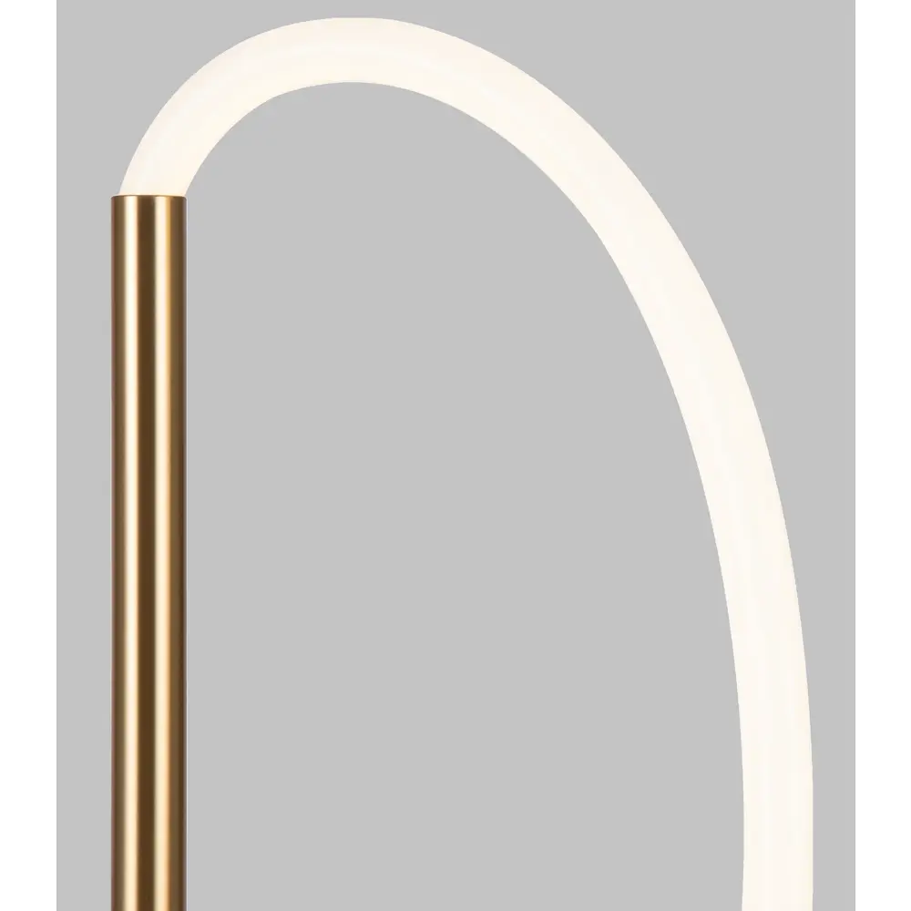 Дизайнерский светодиодный торшер Santreyd FR6059FL-L60BS с регулируемой подсветкой 89336003 STLM-0925890 - Вид №3