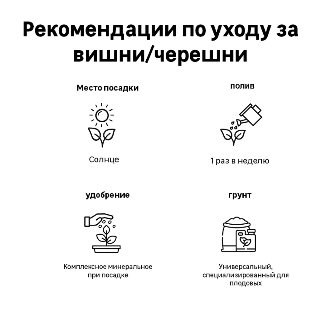Черешня Бряночка в пакете Поиск Инвест 82529074 STLM-2096486 Santreyd  - Вид №3
