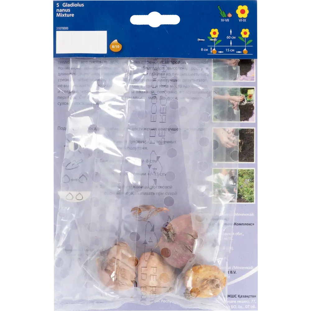 Гладиолус, смесь низких сортов, 8/10 Santreyd STLM-2085441 - Вид №1