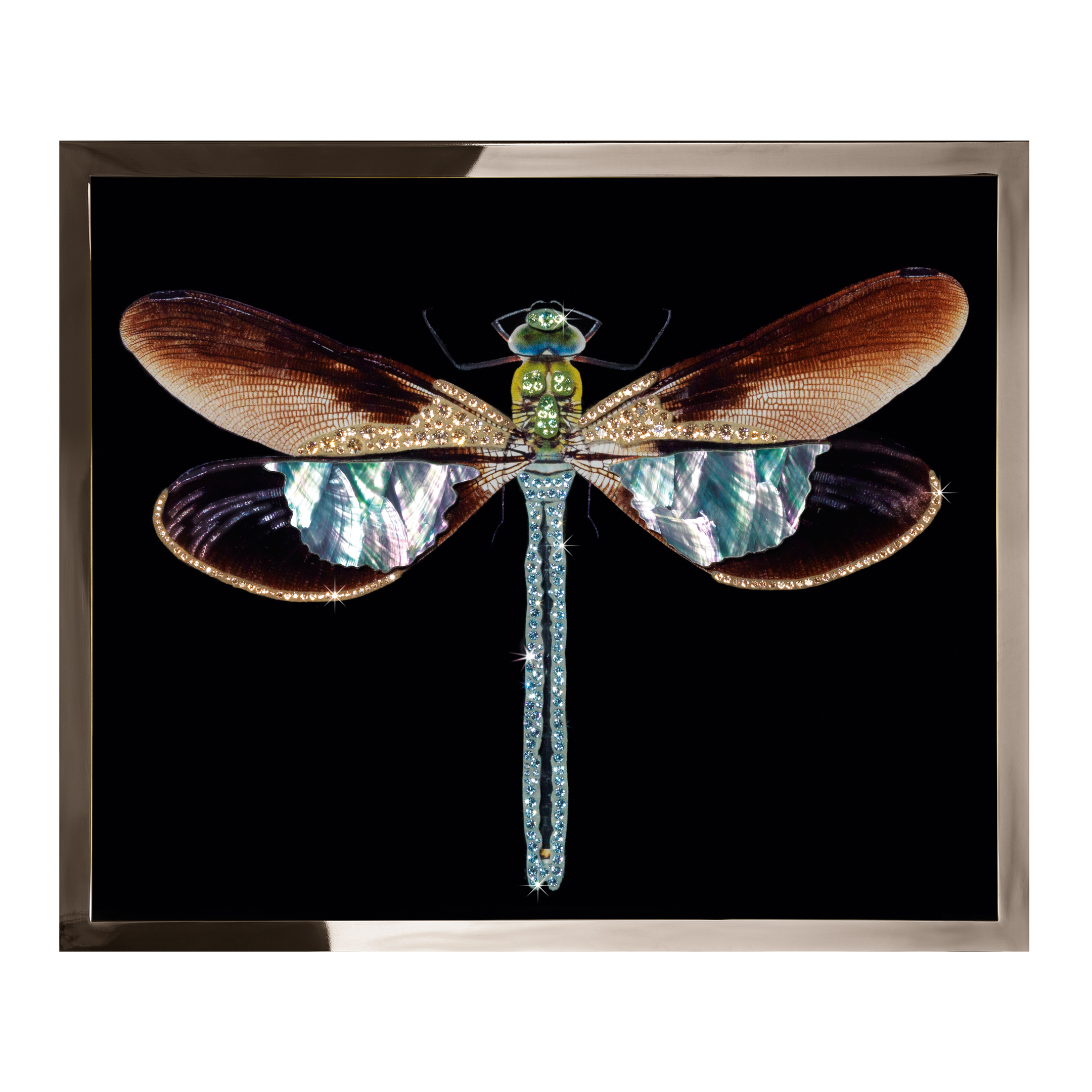 Libellula Mini Смешанная техника Visionnaire  - Вид №1