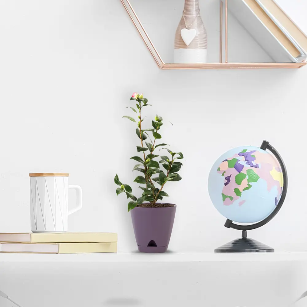 INGREEN Amsterdam — элегантный цветочный горшок для современного интерьера 82824904 STLM-0036585 - Вид №2