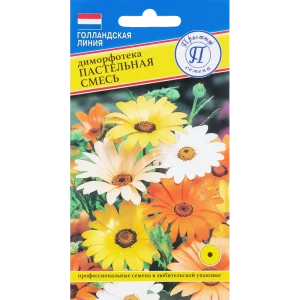 Семена Диморфотека «Пастельная» микс 83227073 STLM-2030471