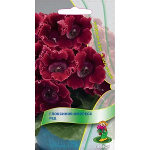 Глоксиния комнатная «Импресс Ред», 6 г 82102296 STLM-2101846