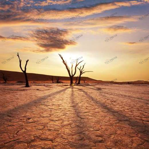 WP01981 Фотообои Verol Фотообои decoline 1х1 м