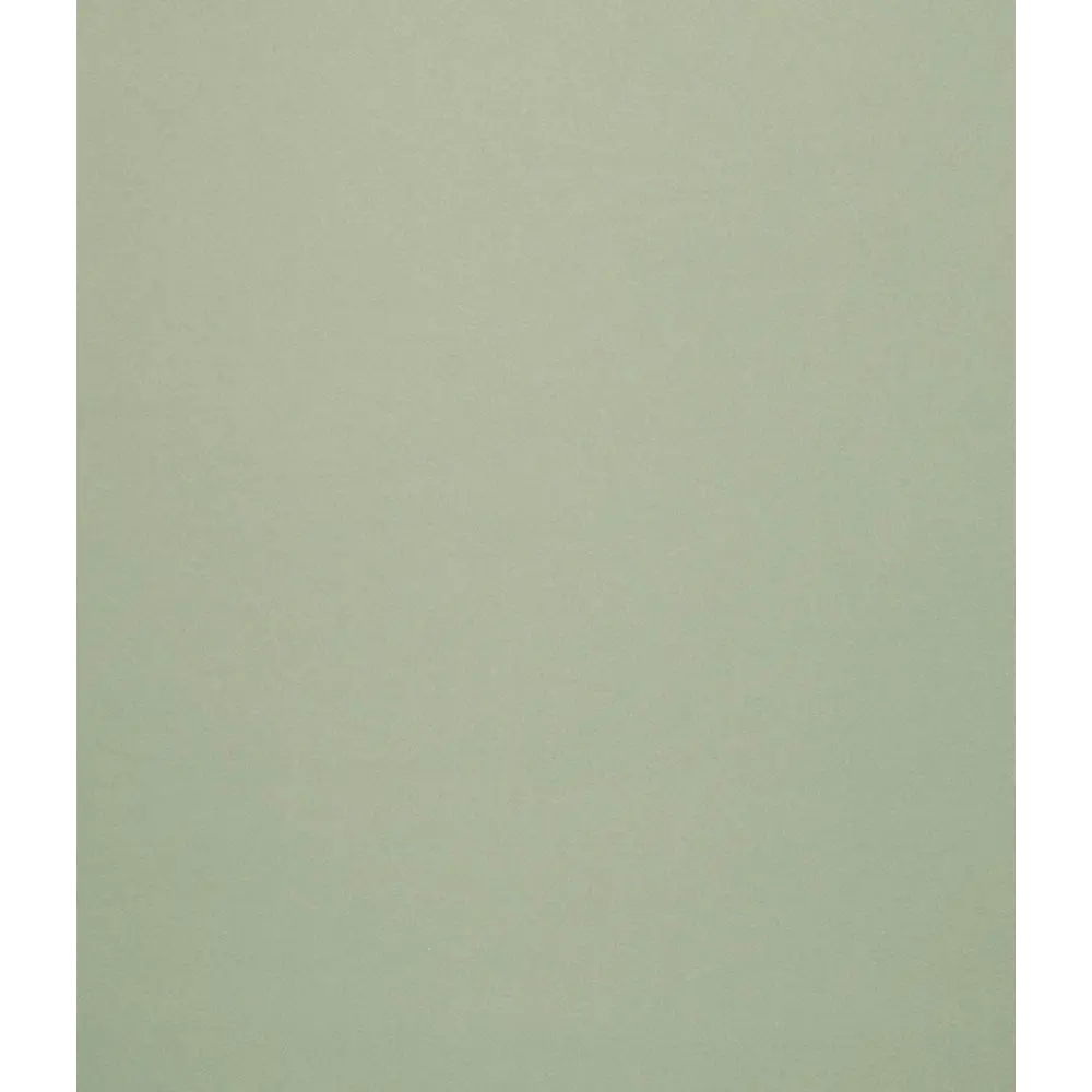 Штора рулонная блэкаут Сантос 160x175 см олива DOMLEGRAND STLM-2024816 - Вид №2