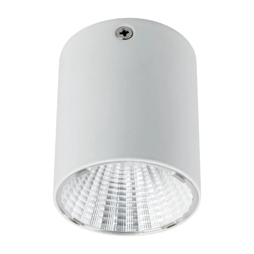 Накладной точечный светильник Сириус даунлайт 15 Вт 4000 К LED, белый Santreyd STLM-2017495