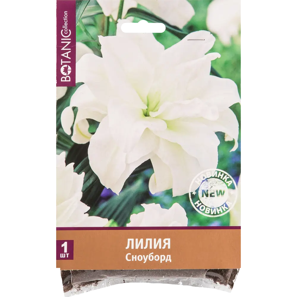 Лилия Сноуборд 12/14, 1 шт 82539384 STLM-2064338 Santreyd 