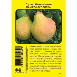 Груша Памяти Яковлева пакет h90 см 86544096 STLM-2199773