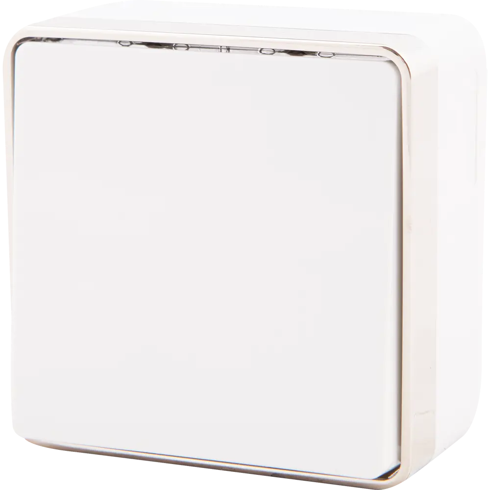 WERKEL Gallant — накладной выключатель с металлическим ободком 82036802 STLM-0018121 - Вид №1