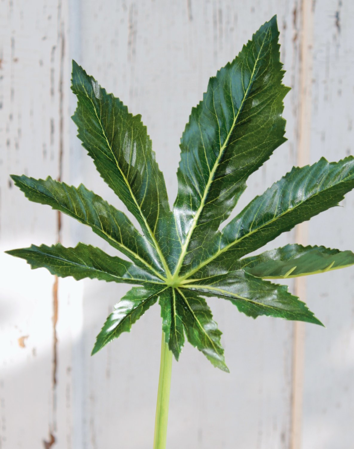 5833 883 a3 Лист искусственной аралии, 68 см, Ø 25 см, зеленый H-andreas  - Вид №4