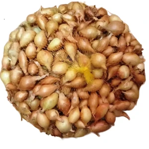 89389747 Лук-севок озимый Радар луковицы 15 мм 0.45 кг STLM-1451872