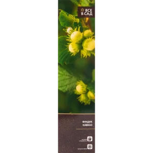 Фундук Кавказ в тубе 82539546 STLM-2154913