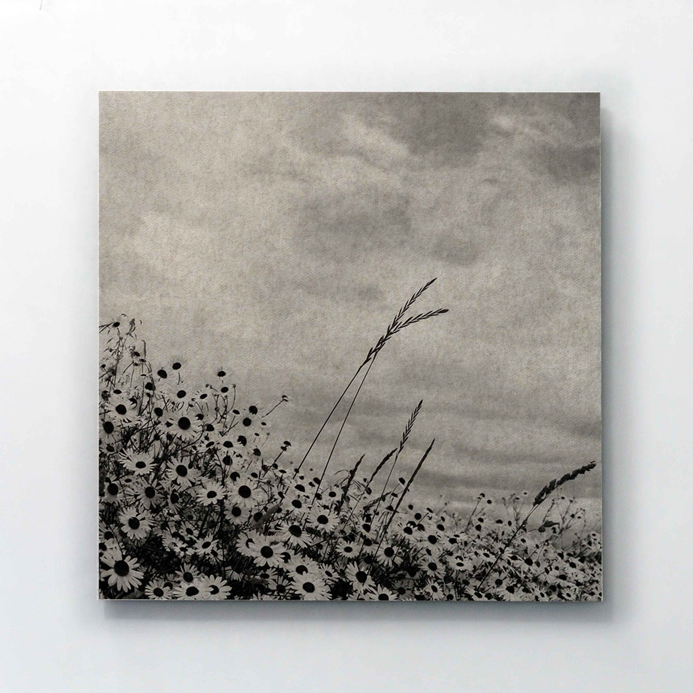 Акустическая панель из шерсти Tante Lotte Whisperwool Oblong ARCH-00153266 - Вид №7