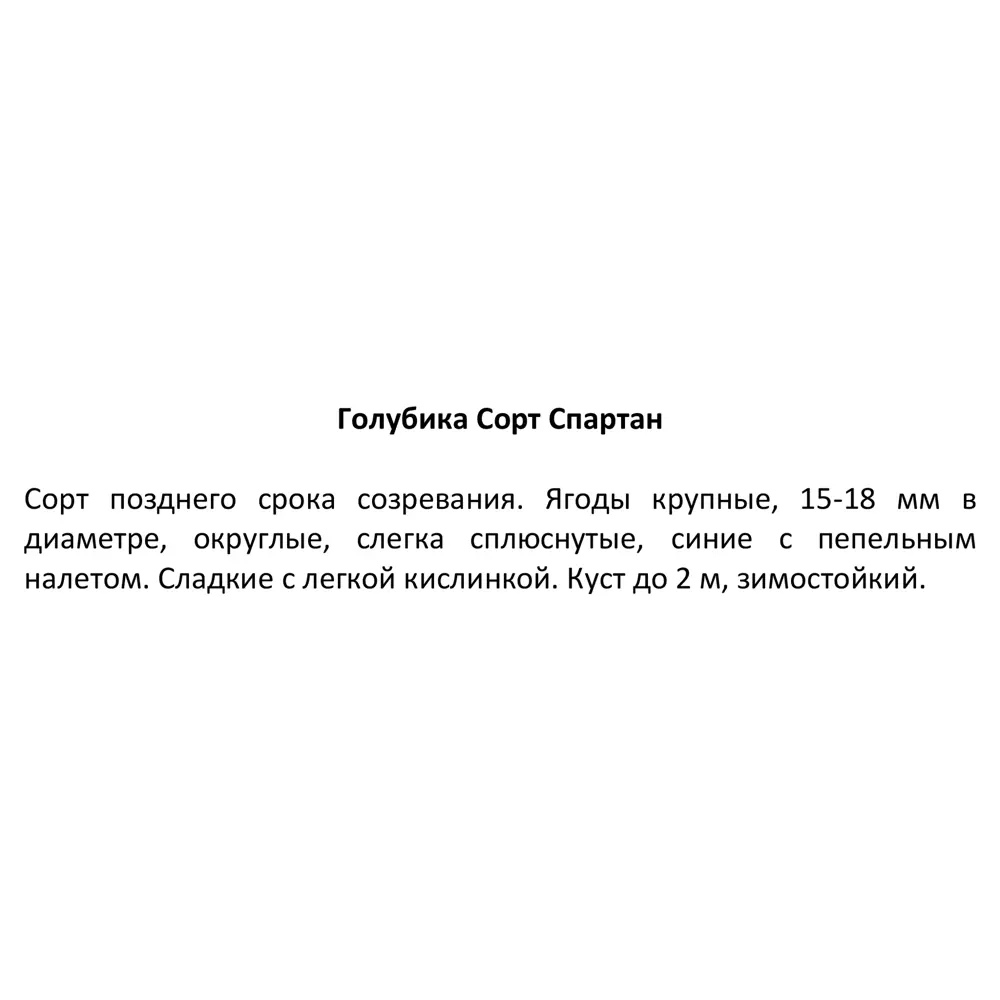 Голубика Спартан 84014813 STLM-2142343 Santreyd  - Вид №2