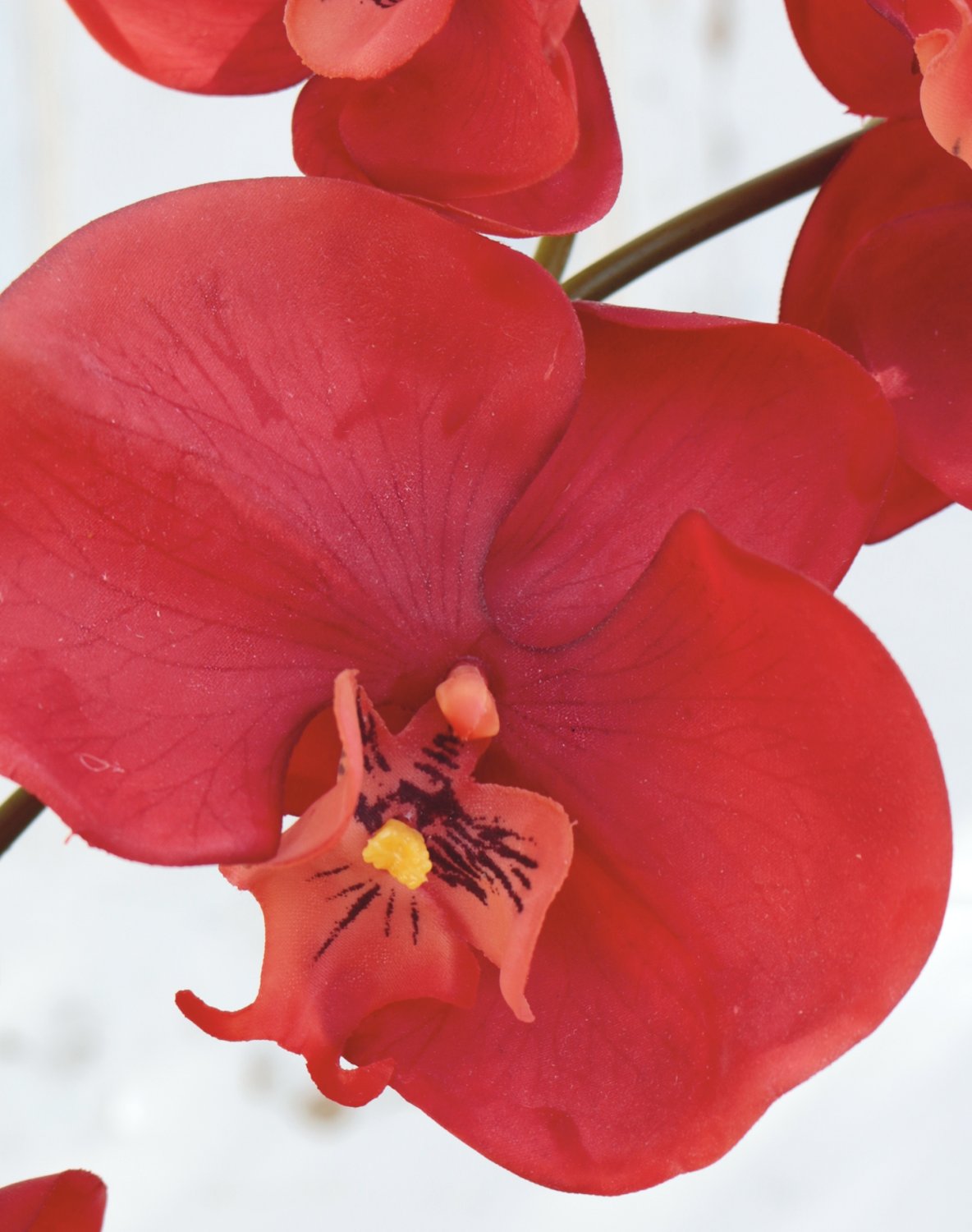 2526 344 a2 Искусственная орхидея Phalaenopsis, 73 см, real touch, темно-оранжевый H-andreas  - Вид №4