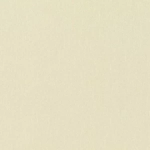 806007 Обои Rasch Maximum XIV