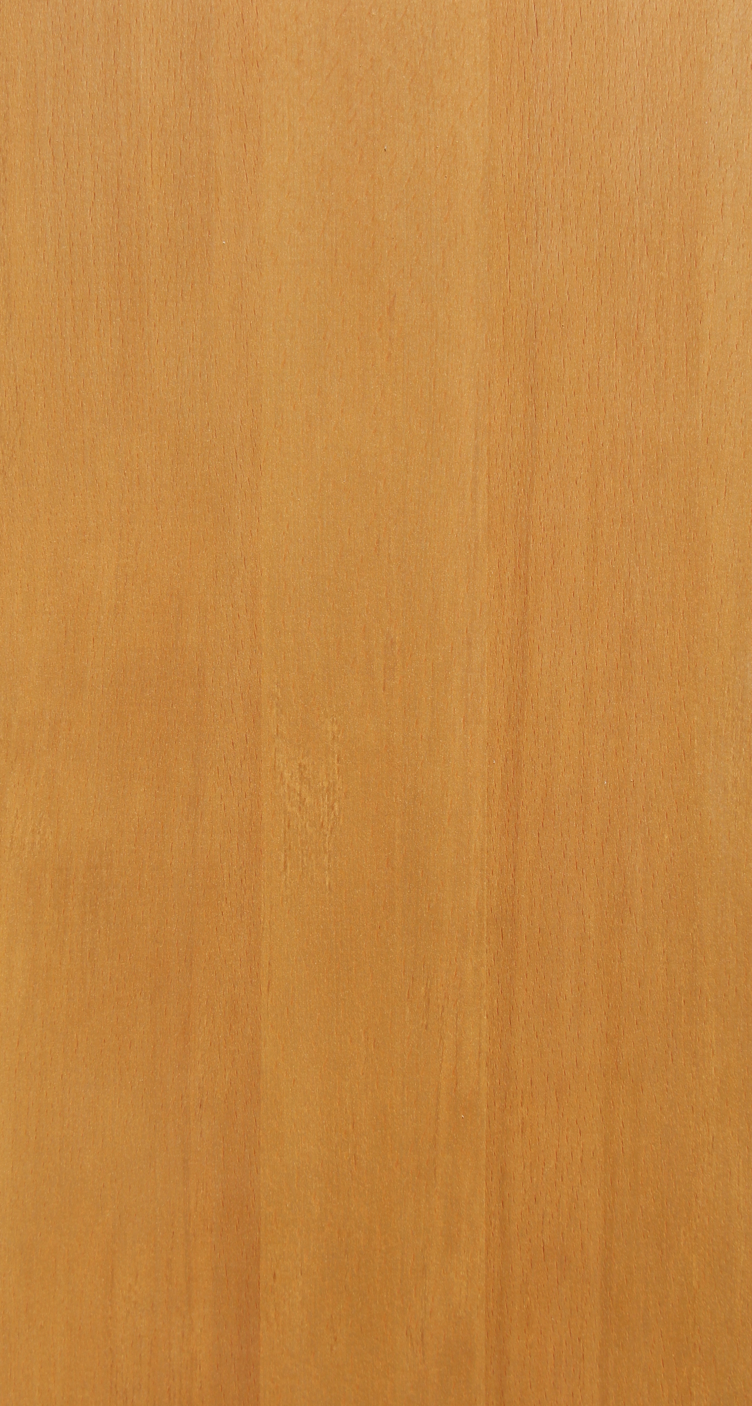 Панель МДФ Бук  "EXCLUSIVE" 200мм, 300мм DEKOR PANEL DP105