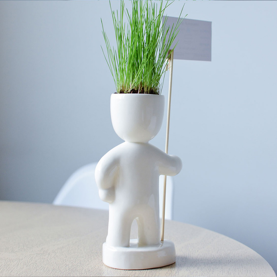 ЕСO-1-17 Набор для выращивания eco знаменосец Экочеловеки  - Вид №1