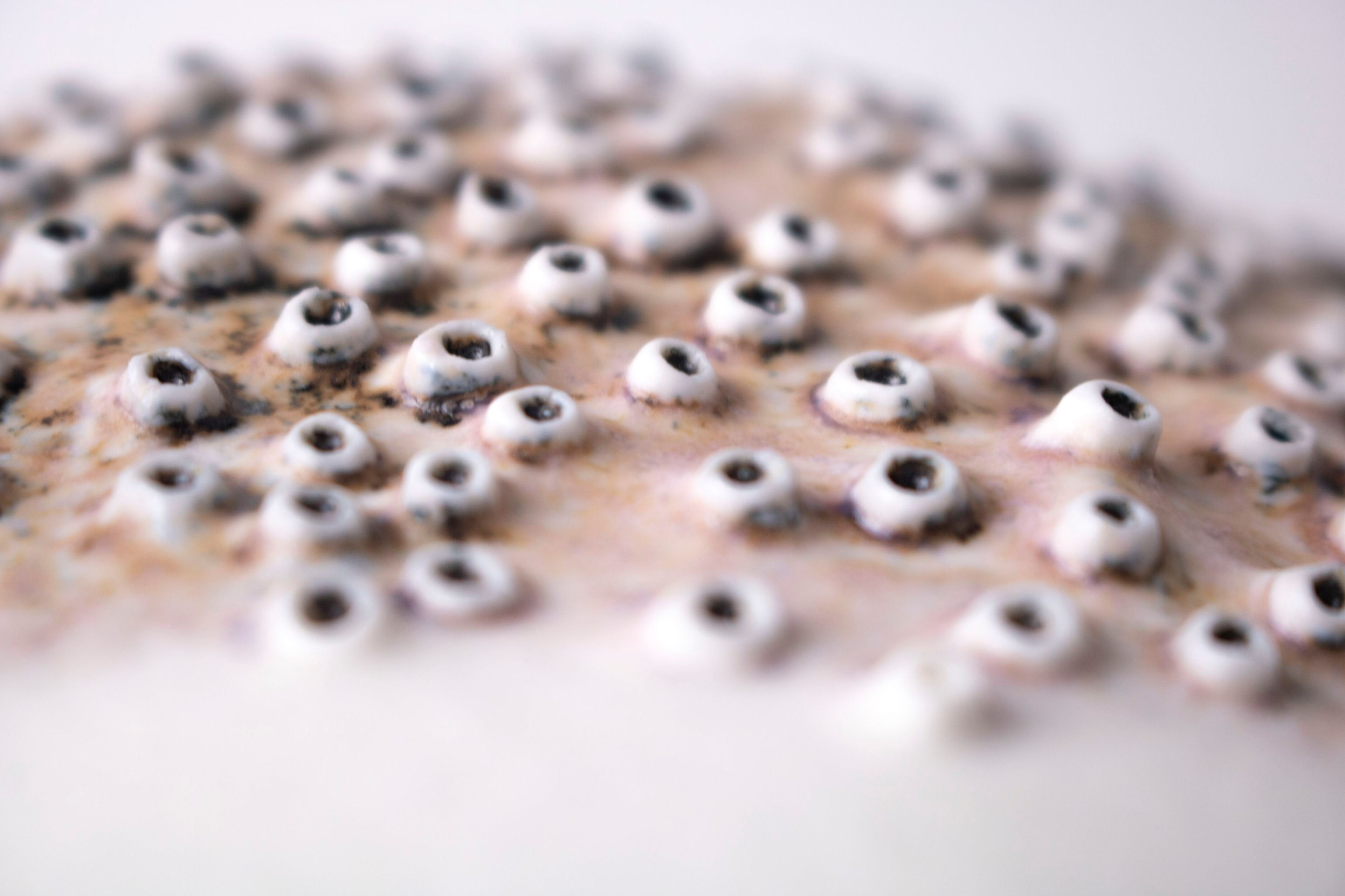 Фарфоровая ваза Fos Ceramiche Porifera ARCH-00144860 - Вид №5