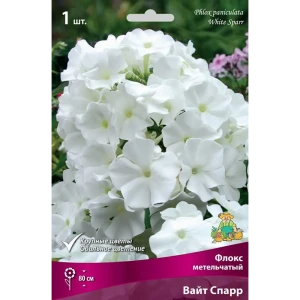 Флокс метельчатый Вайт Спарр луковица I 83600068 STLM-2171371