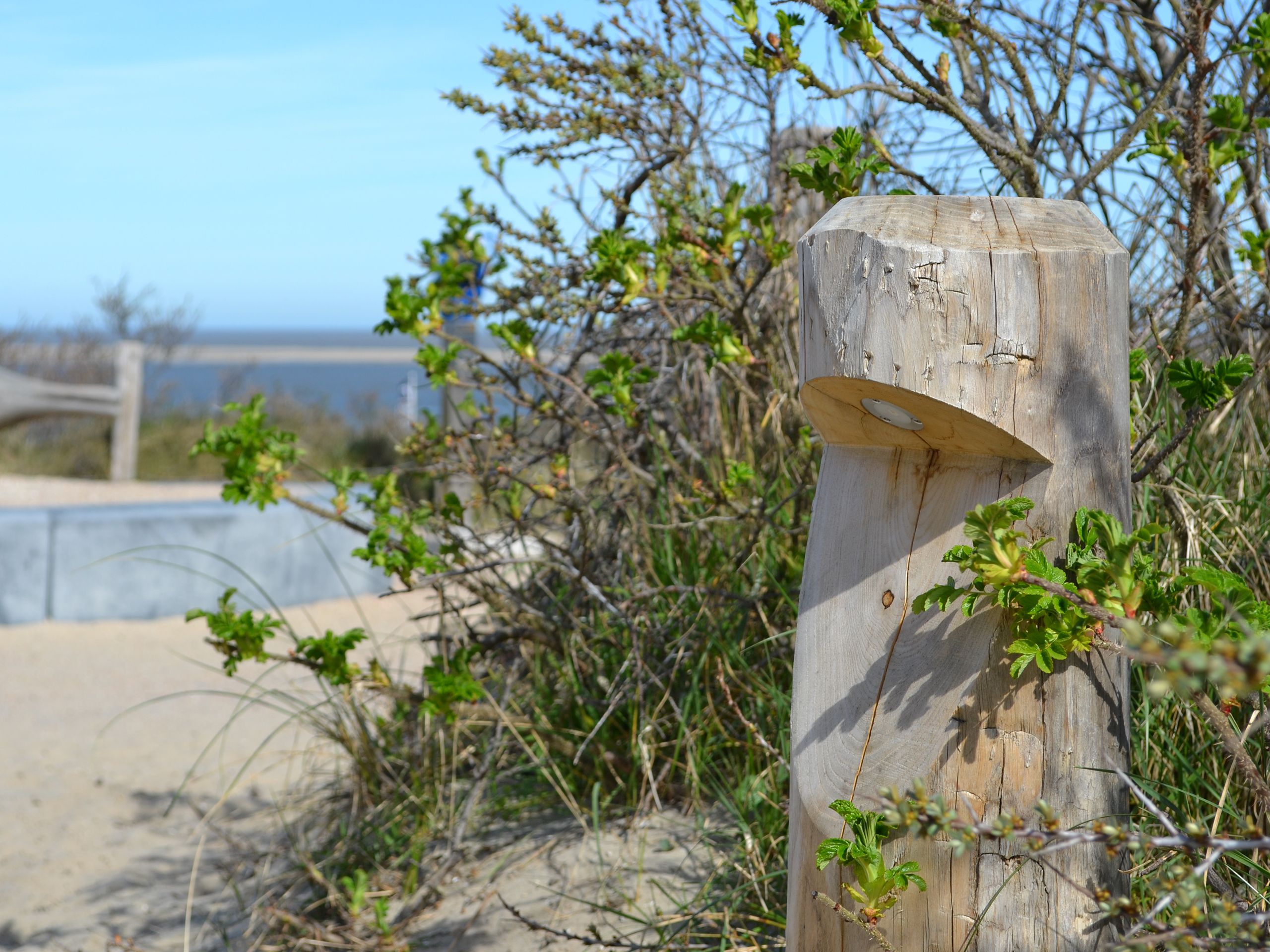 Каштановый светодиодный световой столб Timberlab BOSCO ARCH-00137906 - Вид №5