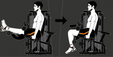 HLC400B Steel flex hope hlc400b сгибание ног стоя Steel Flex Hope - Вид №1