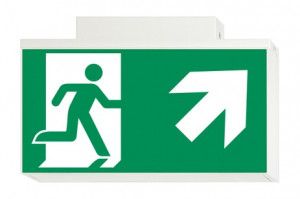 DST-792 Lisu ceiling-mounted Daisalux Светильники аварийные Белый