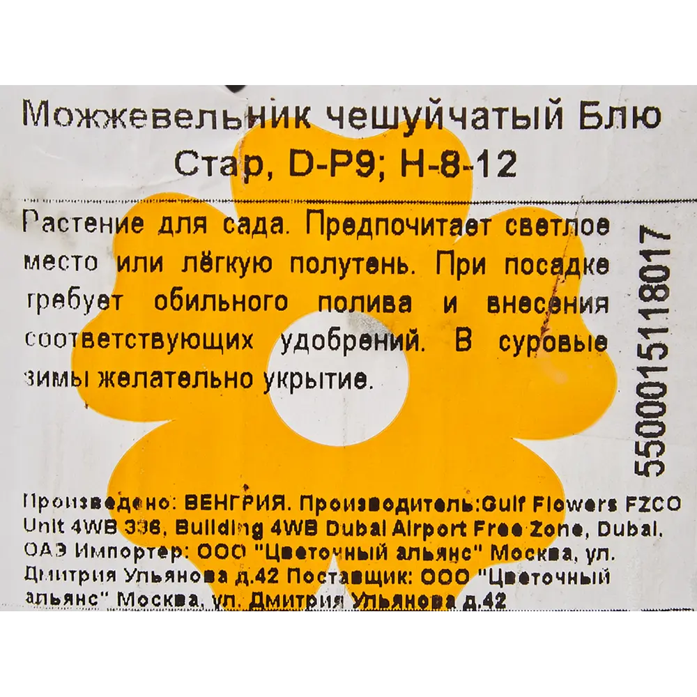 Можжевельник чешуйчатый «Блю Стар» 9x10 см 82601673 STLM-2130812 Santreyd  - Вид №1