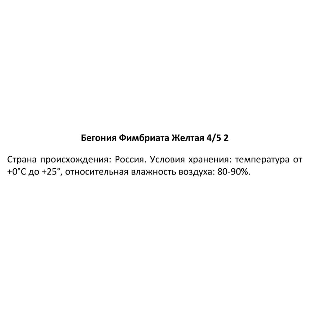 Бегония Фимбриата желтая 40 мм 89353089 STLM-2056570 Santreyd  - Вид №2