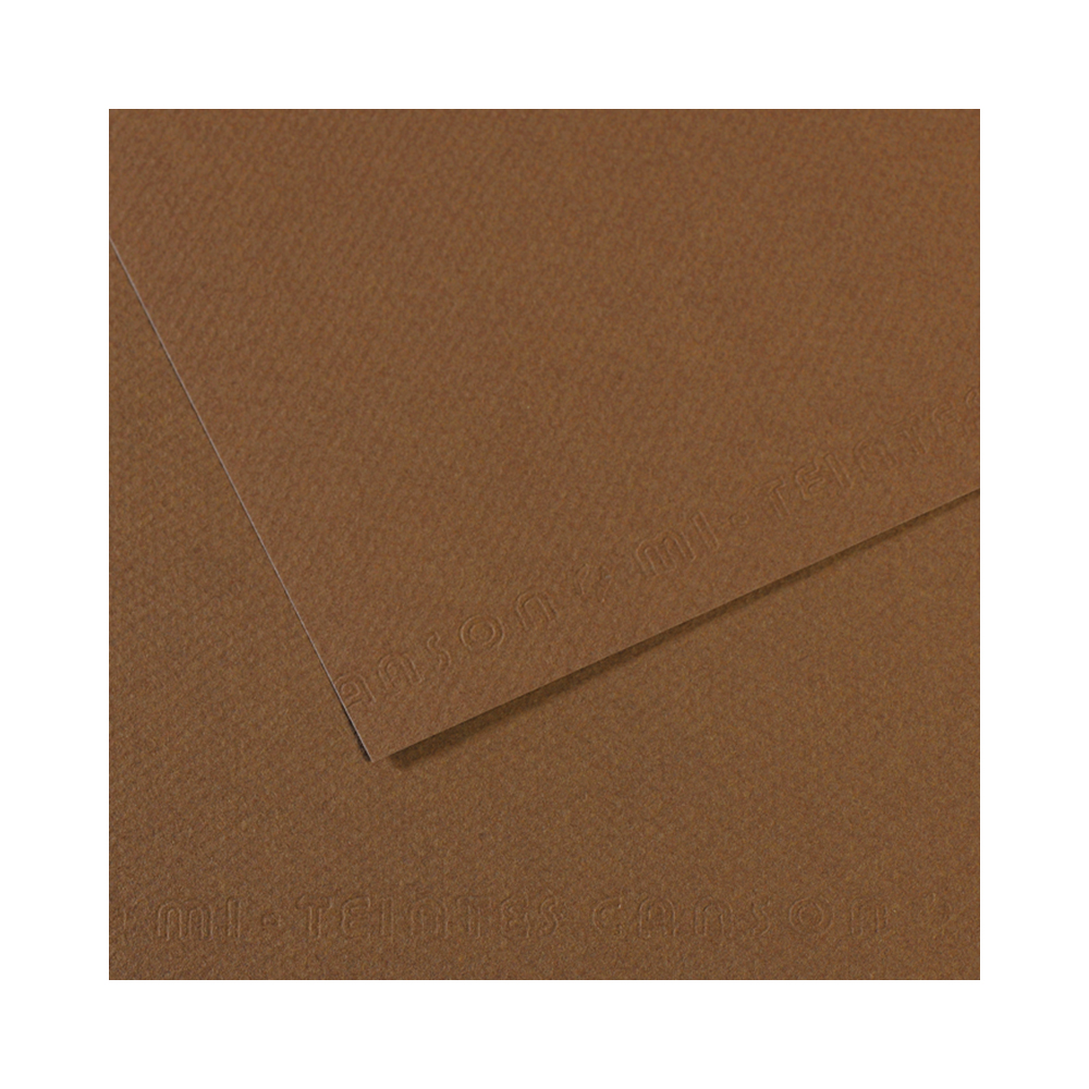 200321404 Бумага для пастели Mi-Teintes 160 г/м2 50 х 65 см лист №133 сепия Canson 