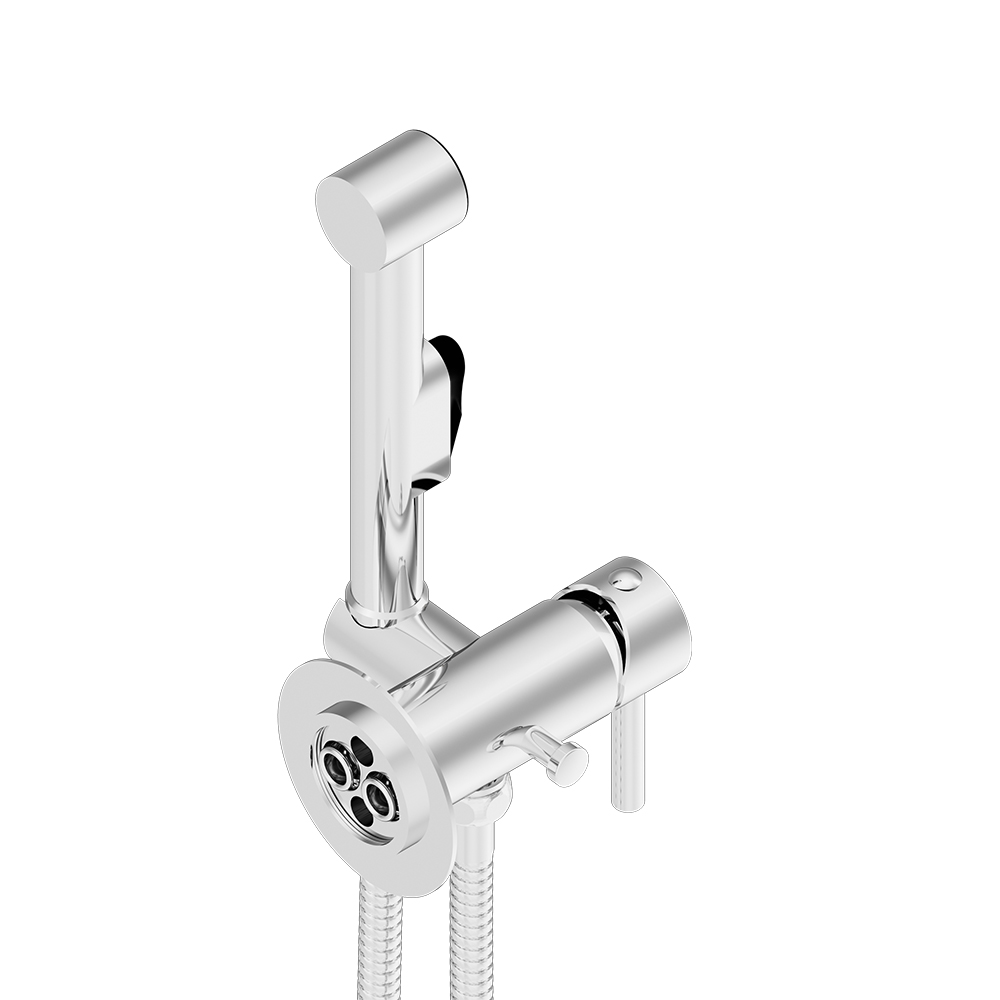 211000000 смеситель монтируемый в стену с гиг.душем и крючком Damixa Option - Вид №2