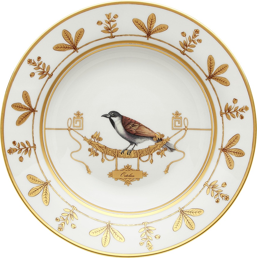 10647836 Richard Ginori Тарелка суповая 24.5 см Фарфор 