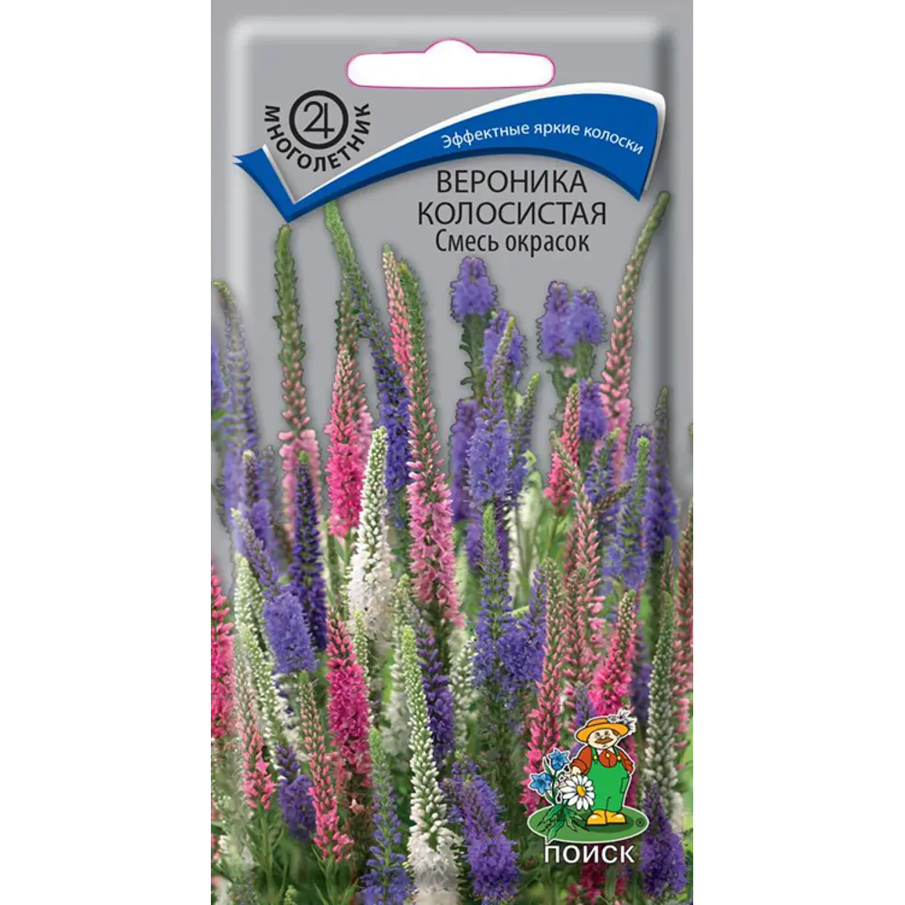 ПОИСК Вероника колосистая микс - яркие акценты для вашего сада 89401266 STLM-1566375