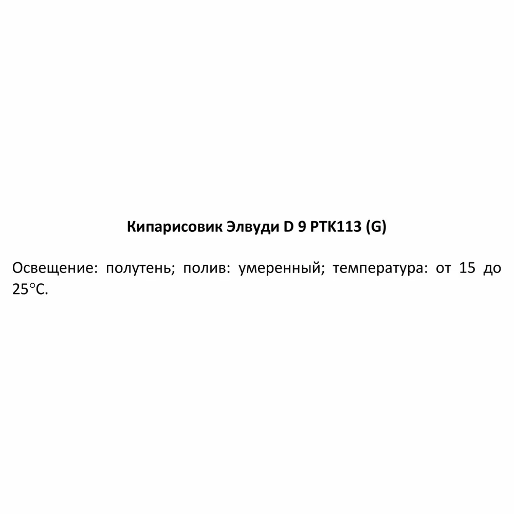 Кипарисовик Элвуди PTK113 ø9 h32-35 см Santreyd STLM-2085700 - Вид №3