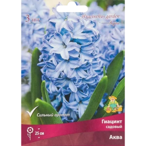 Гиацинт садовый Аква, 3 шт 85204909 STLM-2006218