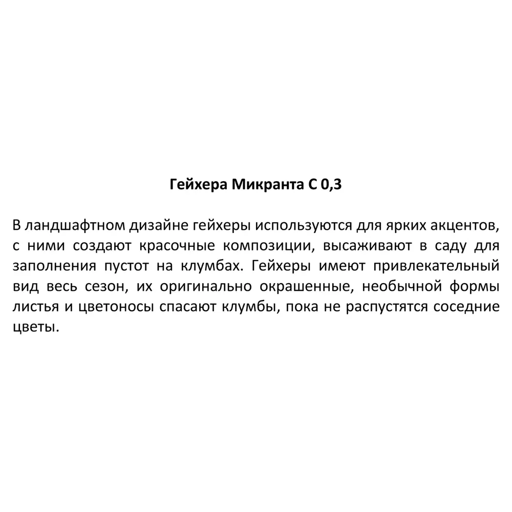 Santreyd Гейхера: разноцветный многолетник для сада 82741499 STLM-0035250 - Вид №3