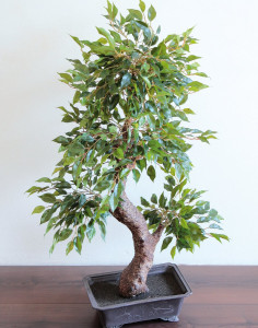 5438 883 a3 Искусственный фикус бонсай, горшечный, 884 листа, 90 см, зеленый H-andreas