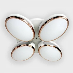 Потолочная светодиодная люстра Ambrella light Orbital Granule FG2024 WH 96W+40W D760 AMBRELLA LIGHT ORBITAL GRANULE 220099 Белый