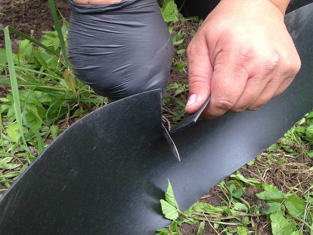 Лента бордюрная 600 мм x 10 м, 2 мм ГеоПластБорд GPBST-49 - Вид №8