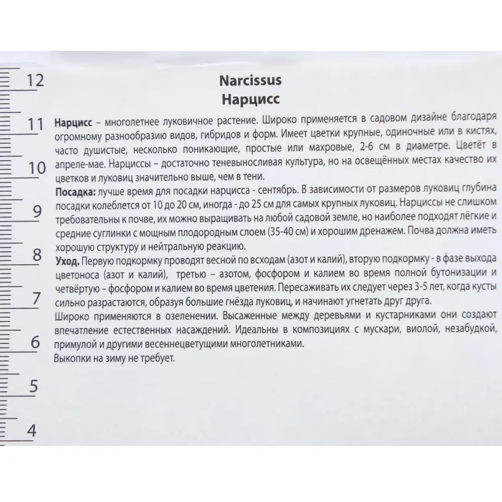 Нарцисс трубчатый «Стандарт Велью», высота 40 см, 3 шт. 82000177 STLM-2113759 Santreyd  - Вид №2