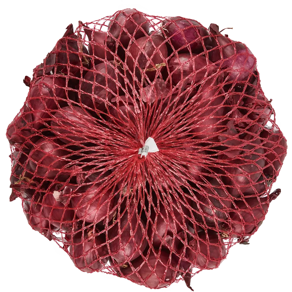 Лук севок Ред барон 0.5 кг ПОИСК STLM-2159976 - Вид №1