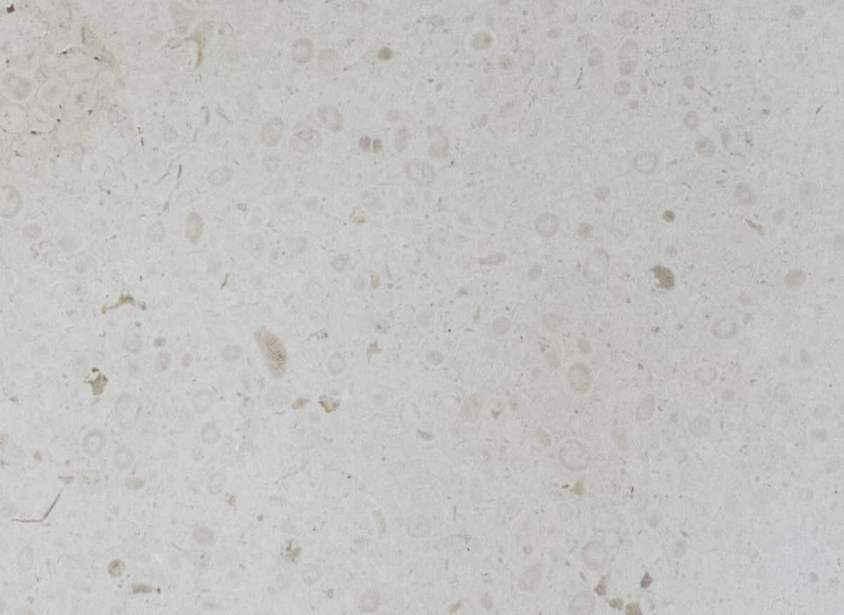 Мраморная раковина на заказ COCOON John Pawson ARCH-00115112 - Вид №16