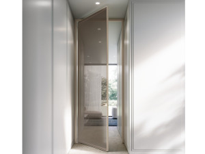 Зеркальная стеклянная поворотная дверь