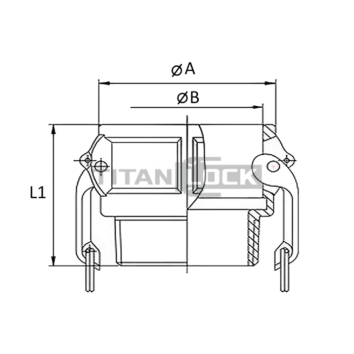 Камлок полипропиленовый тип B розетка, наруж. резьба BSP 3/4", TL75BPP TITAN LOCK  - Вид №1
