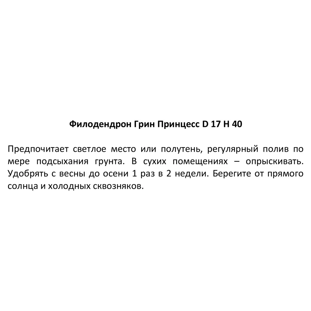 Филодендрон Грин Принцесс ø17 h40 см 85394491 STLM-2144510 Santreyd  - Вид №3