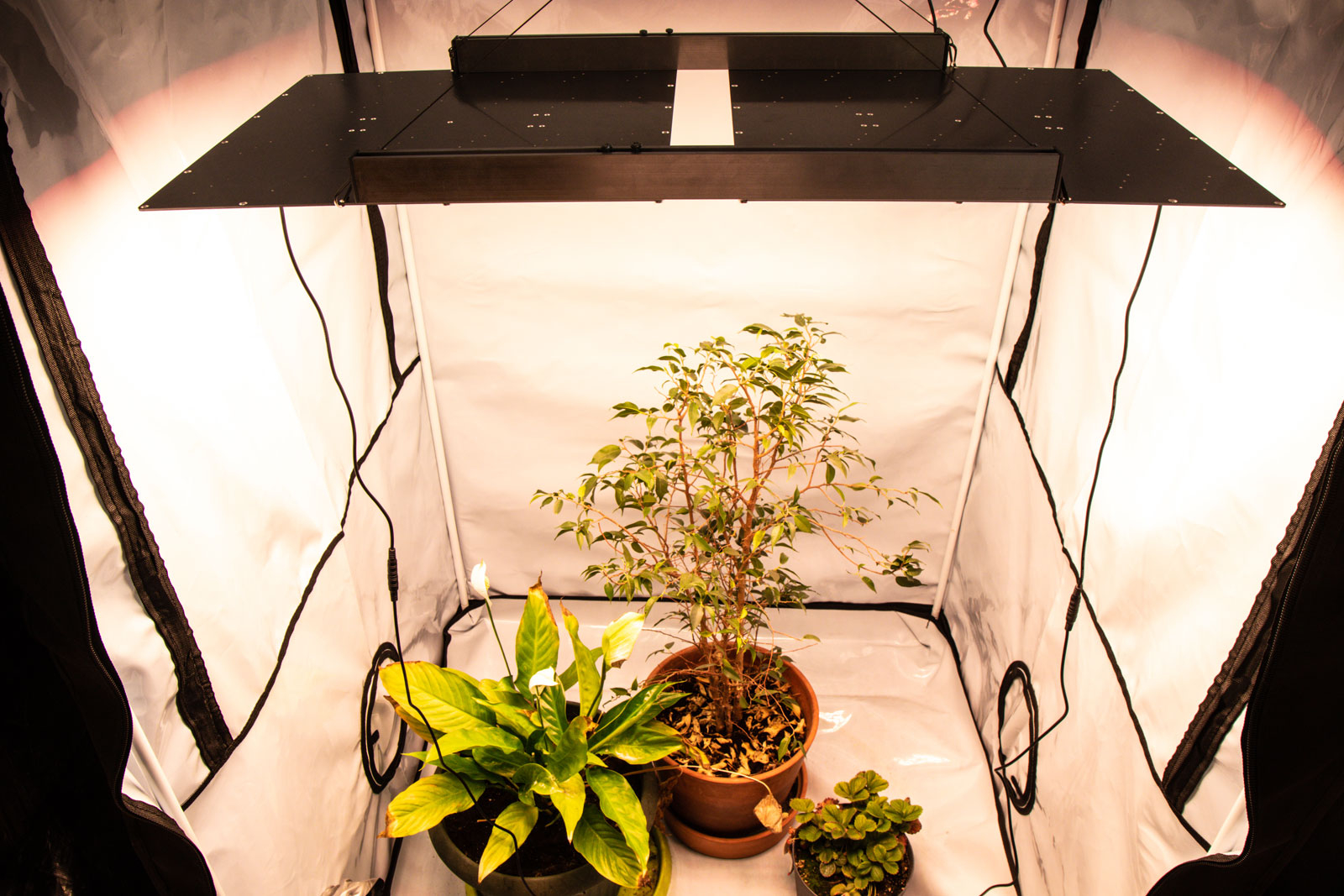 8795 Комплект диммируемый Quantum board 281b+pro 240 Вт (2х120) LAB.Space  - Вид №2