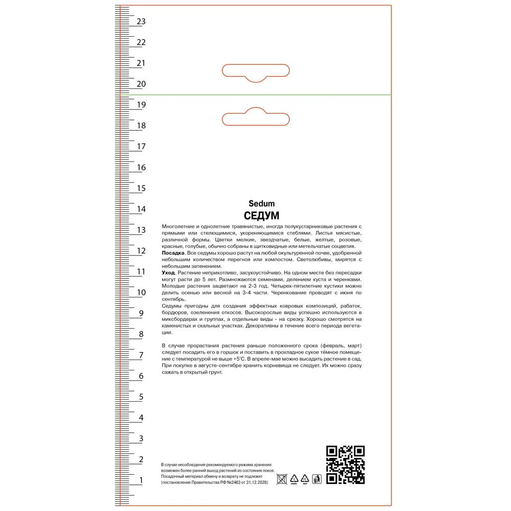 Седум видный Матрона 89452294 STLM-2101424 ПОИСК  - Вид №1