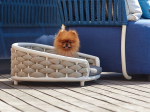 Ткань питомник