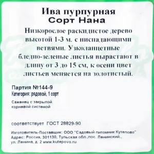 Ива пурпурная «Нана» С2 40 см 82237720 STLM-2101566