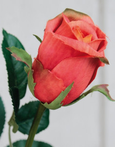 3273 334 a3 Искусственная роза Эквадор, 90 см, оранжевая H-andreas